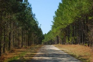 Example of the old dirt road... Example of the old dirt road...