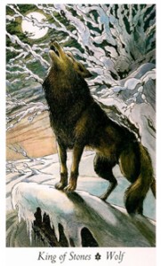 King of Stones ~ Wildwood Tarot King of Stones ~ Wildwood Tarot