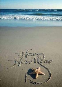 Happy New year 2013!